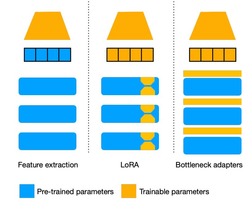 Figure 2. Transfer learning strategies used with protein language models. 