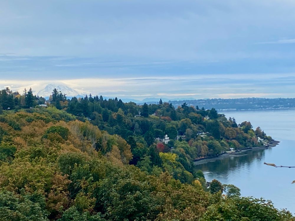 Mt Rainier peaking over a wooded bluff overlooking the Puget Sound