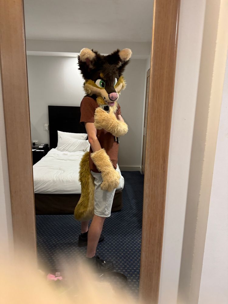 Mojo in partial in front of a mirror