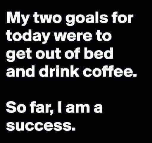 Meme that says: My two goals for today were to get out of bed and drink coffee.
So far, l am a success.