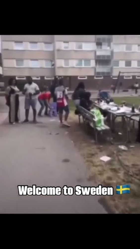 Das neue Schweden