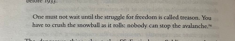 Book extract: “One must not wait until the struggle for freedom is called treason. You have to crush the snowball as it rolls: nobody can stop the avalanche.”