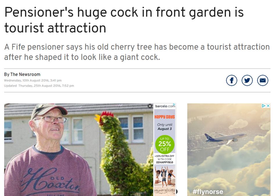 Fife Today headline: Pensioner's huge cock in front garden is tourist attraction
A Fife pensioner says his old cherry tree has become a tourist attraction after he shaped it to look like a giant cock
Plus photo: a hedge that looks like a... rooster (decorated with comb and beak)