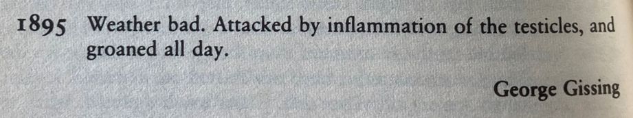 1895 Weather bad. Attacked by inflammation of the testicles, and groaned all day.
George Gissing
