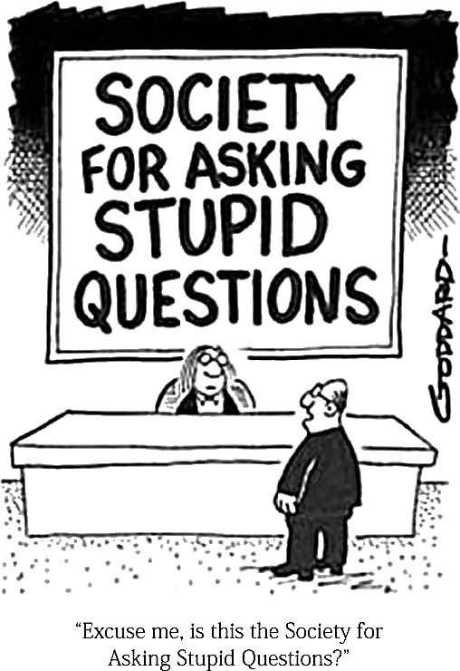 Cartoon: a woman in glasses sits behind a desk. Behind her is a huge sign reading “SOCIETY FOR ASKING STUPID QUESTIONS”. In front of the desk, a man in glasses and a dark suit asks “Excuse me, is this the Society for Asking Stupid Questions?”