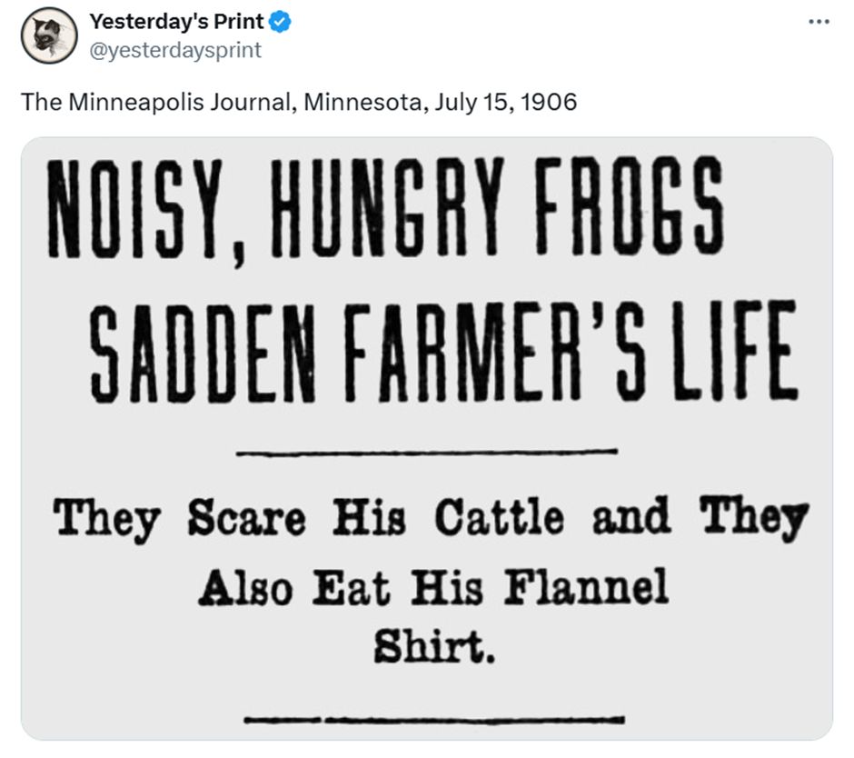 A tweet from Yesterday’s Print: The Minneapolis Journal, Minnesota, July 15, 1906. Then an image of a headline and subhead which read “Noisy, hungry frogs sadden farmer’s life – they scare his cattle and they also eat his flannel shirt”