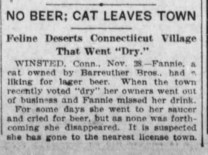 Article from Des Moines Register 27 November 1908: NO BEER; CAT LEAVES TOWN
Feline Deserts Connecticut Village That Went "Dry."
WINSTED, Conn., Nov. 28. Fannie, a cat owned by Barreuther Bros., had liking for lager beer. When the town recently voted "dry" her owners went out of business and Fannie missed her drink. For some days she went to her saucer and cried for beer, but as none was forthcoming she disappeared. It is suspected she has gone to the nearest license town.