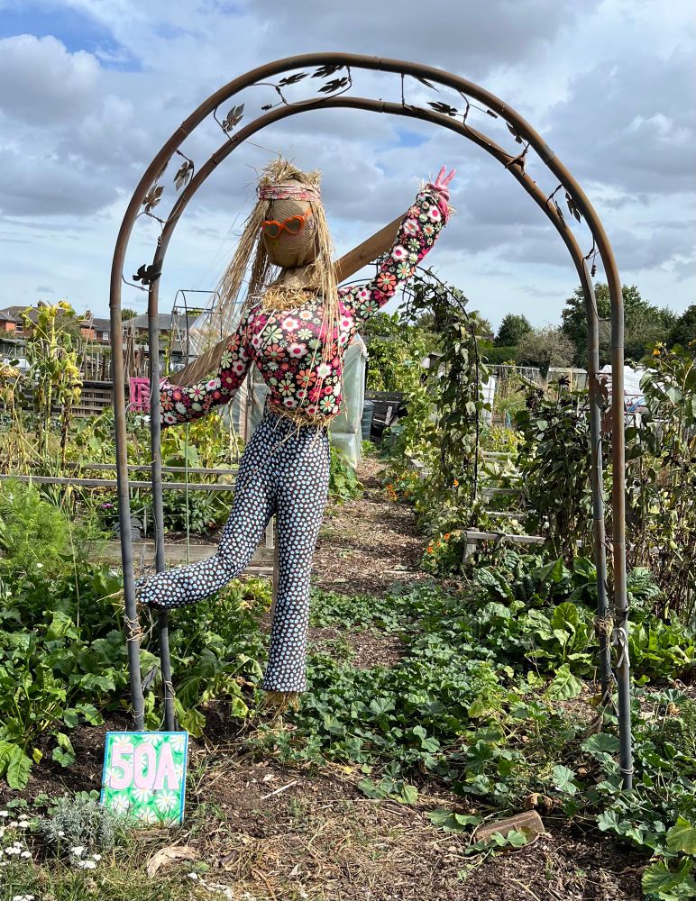 A scarecrow in a metal arch on an allotment. ‘She’ has spotty trousers, a flowery blouse, long hair made of straw, orange heart-shaped sunglasses, and a headband and is arranged to look like she’s dancing 