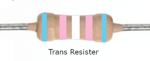 Picture of a resistor - a tan cylinder with slightly wider diameters on its ends, and with a white metal wire extending from either side.  The color code bands have been replaced with the light blue, pink, white, pink, and light blue of the trans pride flag.  It is on a white background with the words "Trans Resister" below.