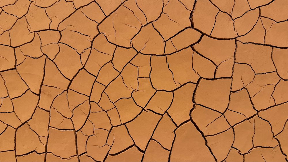 Close up of mud racks in red clay. ‘Red Wall’ by Andy Goldsworthy, 2025. 