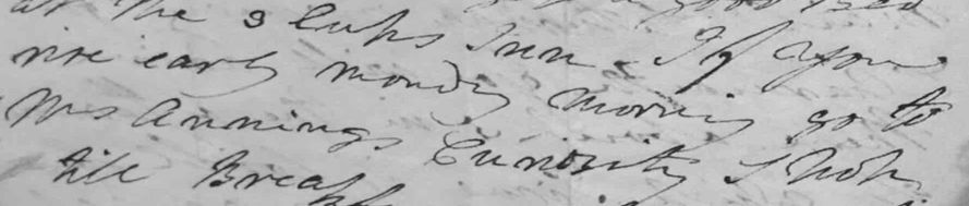 Extract of a letter from William Buckland to George Greenough telling him: 'early Monday morning go to Mrs Anning's Curiosity Shop'.
