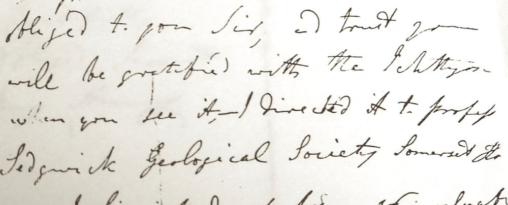 Extract of a letter from Mary Anning to Adam Sedgwick:  [I] 'trust you will be gratified with the Ichthyosaurus when you see it - I directed it to Professor Sedgwick Geological Society Somerset House'.