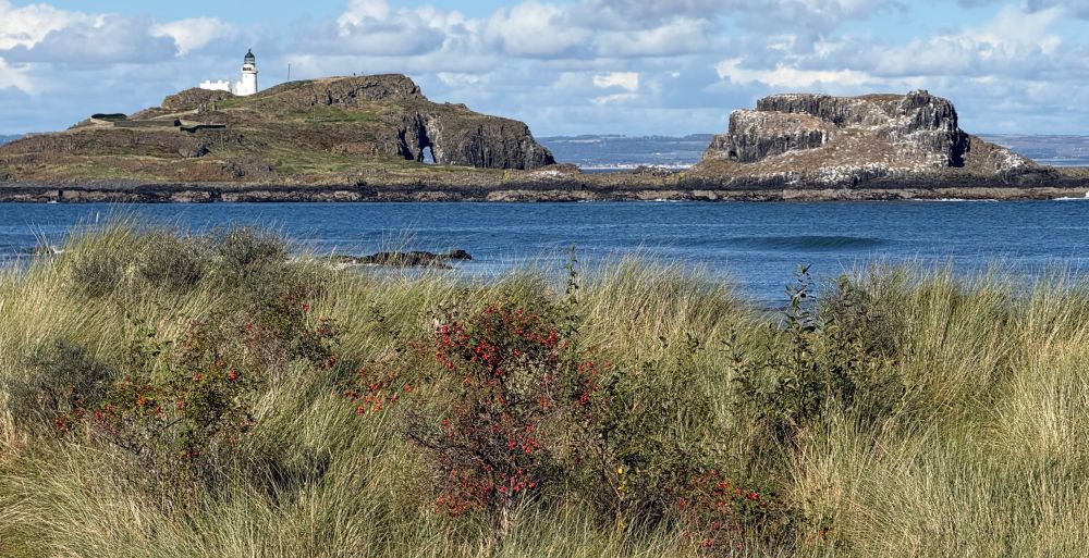 Photograph of an island just offshore with a white lighthouse. 