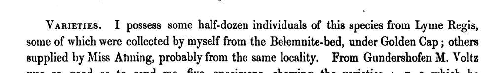 Extract of text from Phillips's belemnite monograph: 'I possess some half-dozen individuals of this species from Lyme Regis, some of which were collected by myself from the Belemnite-bed, under Golden Cap; others supplied by Miss Anning, probably from the same locality.