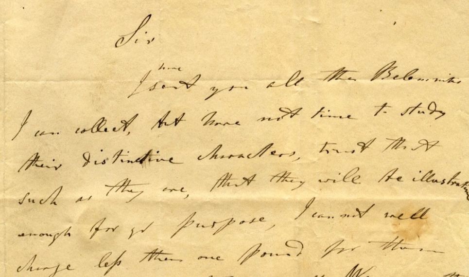 Extract of letter from Mary Anning to John Phillips: 'Sir I have sent you all the Belemnites I can collect, but have not time to study their distinctive characters, trust that such as they are, that they will be illustrative enough for yr purpose, I cannot well charge less than one pound for them.'