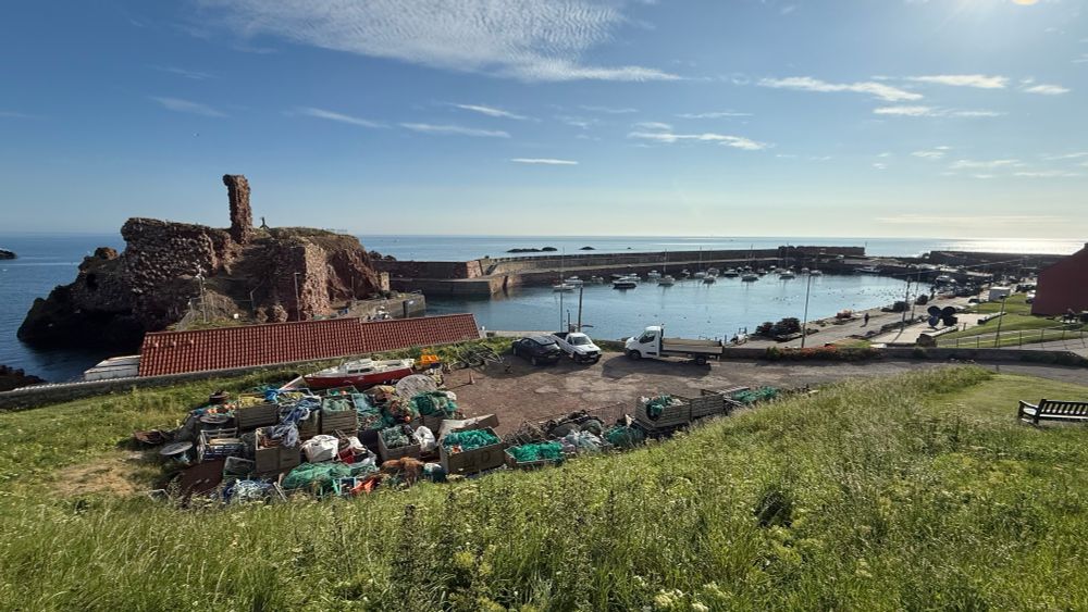View of a ruined castle above a harbour.