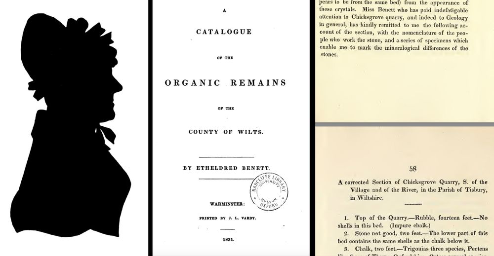 Silhouette of Etheldred Benett, c.1837; title page of her Catalogue of the Organic Remains of the County of Wiltshire; extract from J Sowerby's Mineral Conchology 1818, with details of Benett's stratigraphic section of Chicksgrove Quarry.