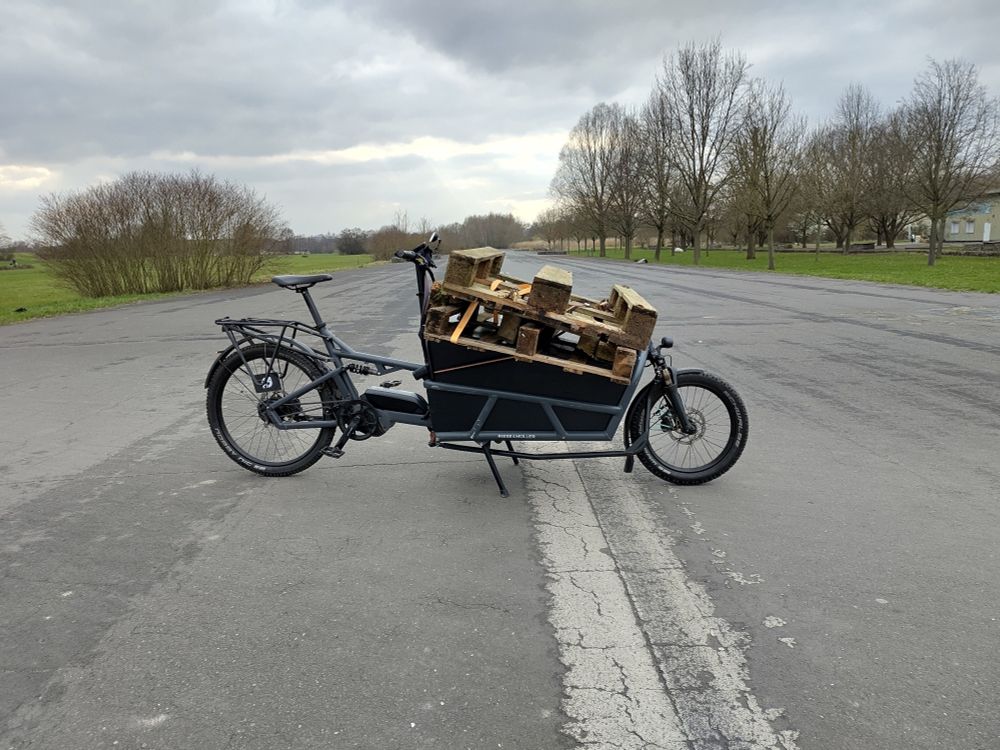 Riese & Müller load75 mit 2,5 Europaletten