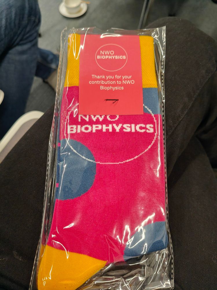Fabulous NWO Biophysics pink orange and blue socks