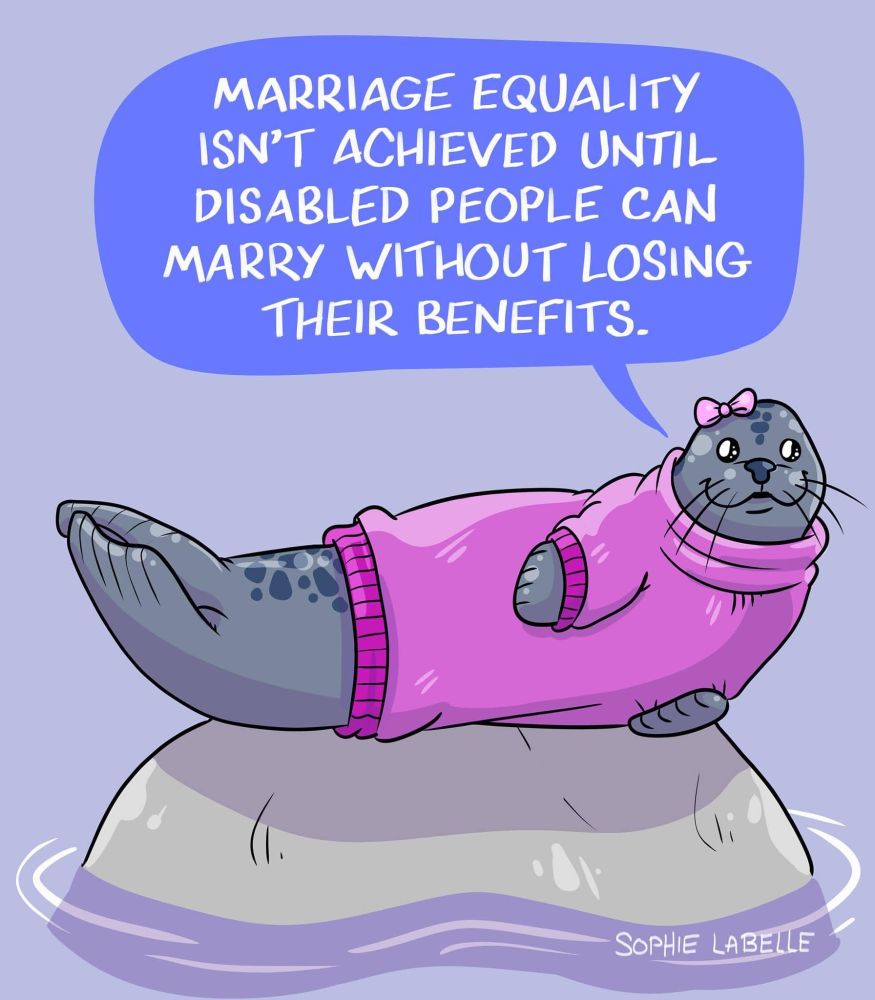A seal in a pink sweater that says : Marriage equality isn't achieved until disabled people can marry without losing their benefits.