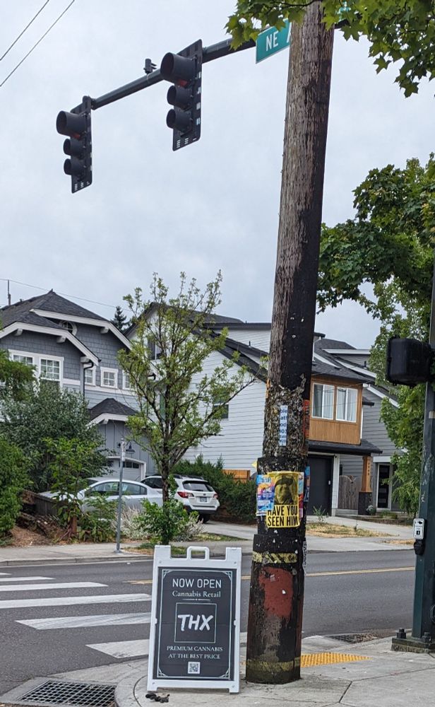 A street corner. A large yellow sign hangs on a pole. The sign has a picture of a man and the words "Have you seen him". There is no more information.