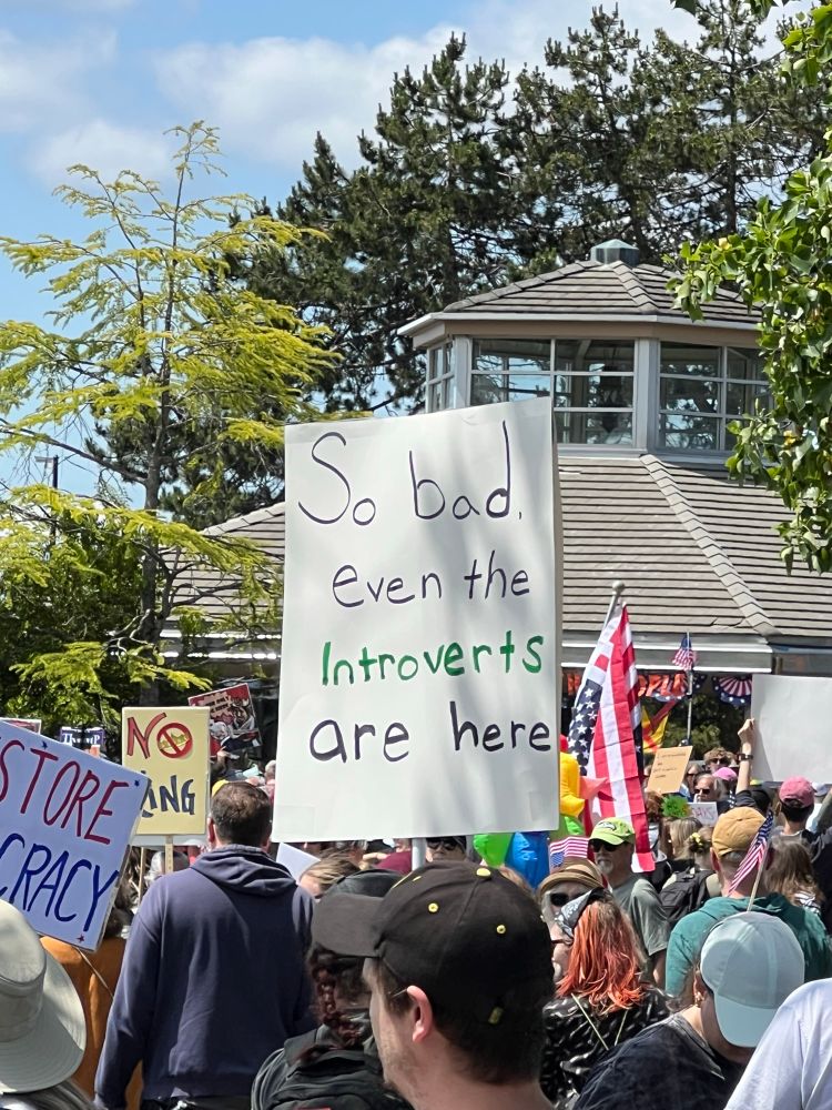 At a No Kings protest, a sign reading “So bad even the introverts are here”.