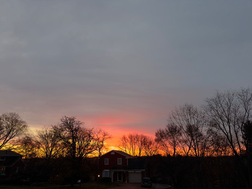 A dark blue gray sky at the top of the photo with hints of pink orange and yellow light coming from behind a tree line that is bare of leaves, during sunrise