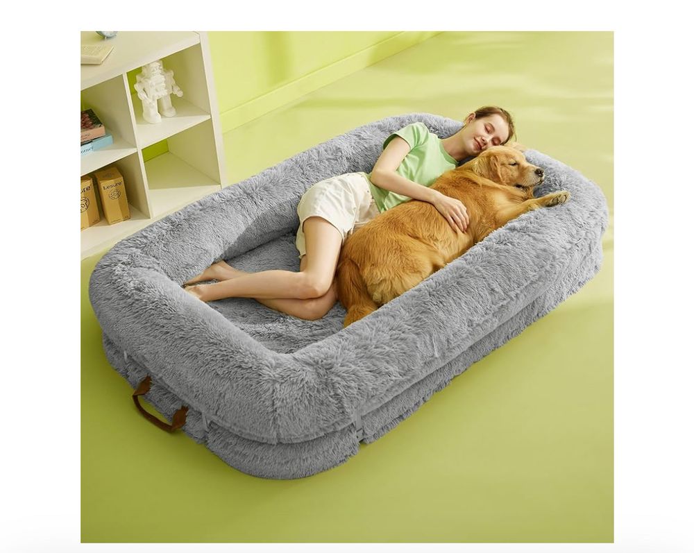 a gray, rectangle-shaped plush human-sized dog bed with a woman and a golden retriever laying it 