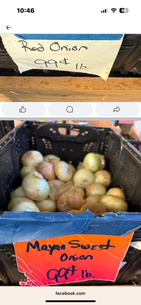 Red onions and sweet onions for $.99 a pound