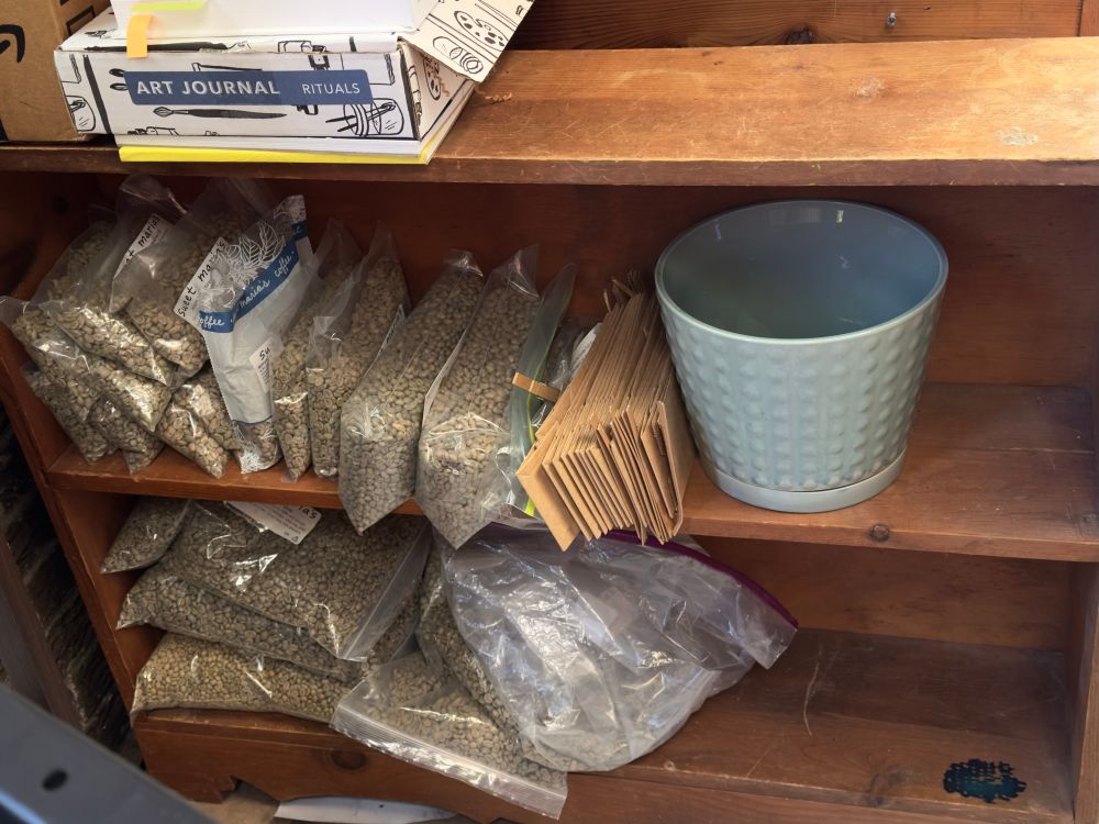 small 2-shelve wood bookcase half-filled with bags of green (unroasted) coffee beans held in place with a sage green ceramic pot with raised dot pattern 
