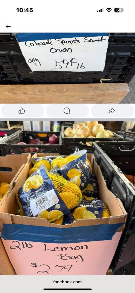 sweet onions, colossal Spanish sweet onions for $.59 a pound, a 2 pound bag of lemons for $2.79 a pound
