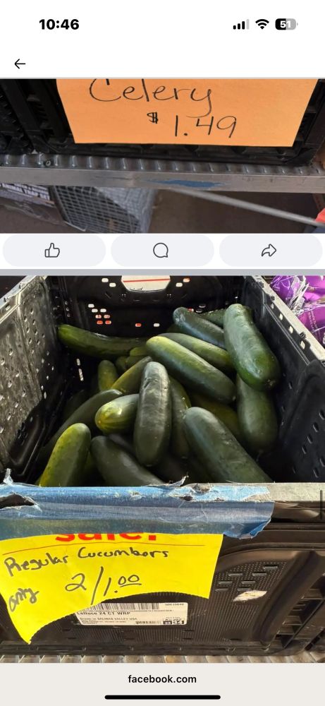 celery for $1.49, cucumbers, two for one dollar