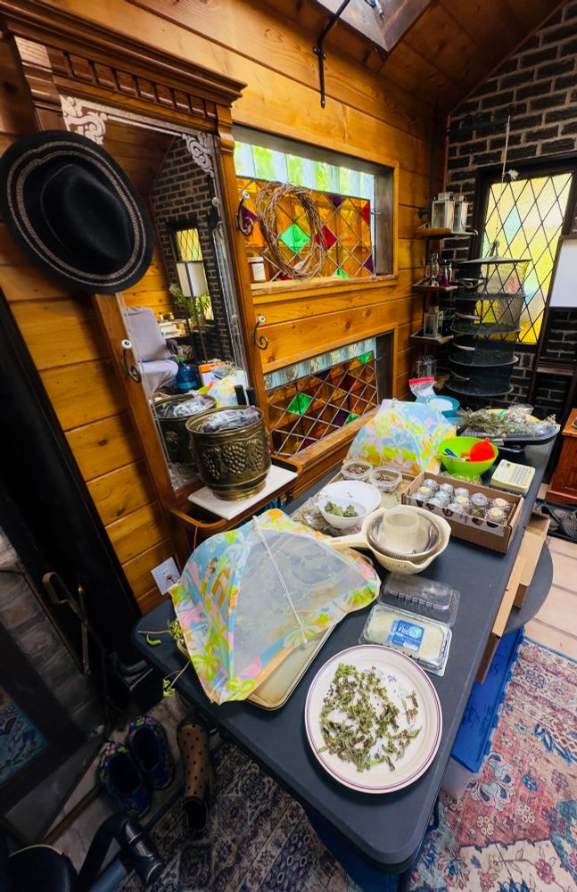 dried kitchen herbs & medicinal herbs in various containers and on plates. there are 3 stained glass windows behind them in a harlequin pattern of red, orange, purple, & green. a hat rack w/mirror is on left. light orange pine wood walls & corner shelves on left. intricately patterned rug in blue, red, tan, pink, and burgundy on the right bottom 