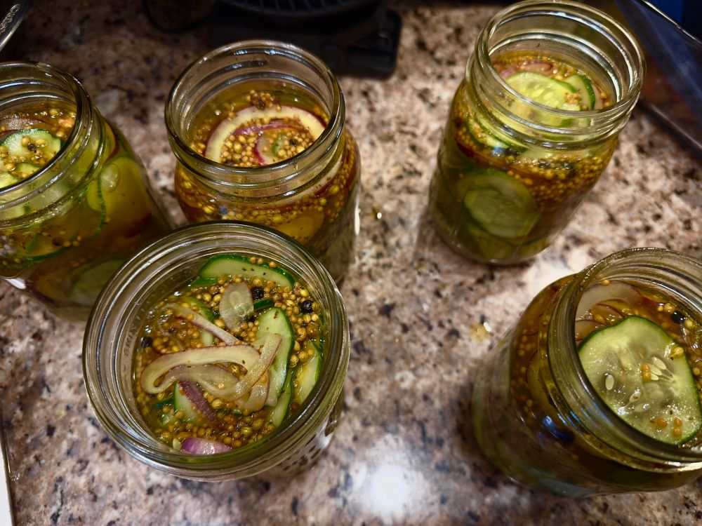 pint-sized mason jars filled with pickling spices, sliced red onion and sliced cucumbers 