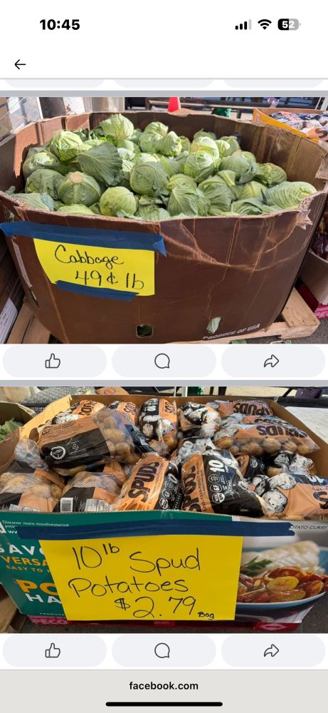 Green cabbage for $.49 a pound 10 pound bag of potatoes for 2009 a bag