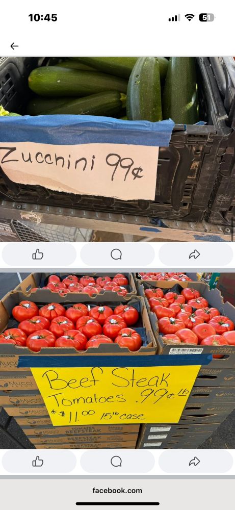 Zucchini $.99 each, beef stick tomatoes and $.99 a pound or $11 for a 15 pound case