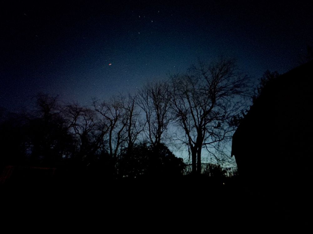 A dark blue night sky with bare trees in the middle ground with purple northern lights faintly shining through
