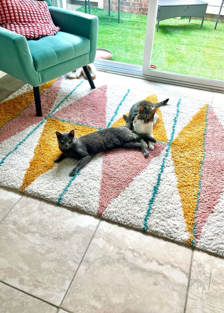 Two cats, one gray, one white, brown, and black, lounge on a geometric rug of white, pink, yellow, and blue