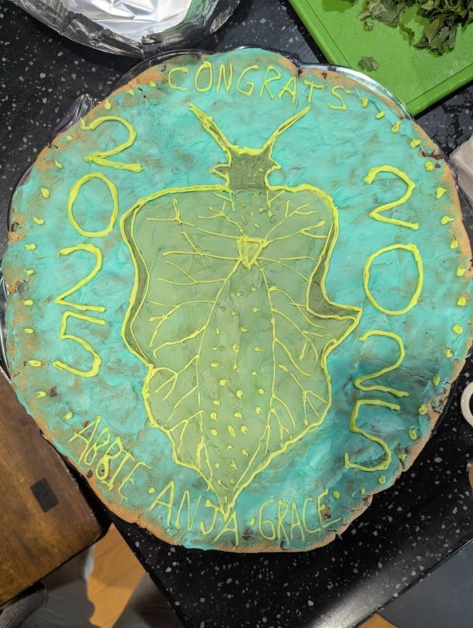 A big cookie cake that is decorated with a picture of a green Elysia chlorotica sea slug. The cake also says "2025" down each side, "Congrats" at the top, and "Abbie, Anja, Grace" at bottom. 