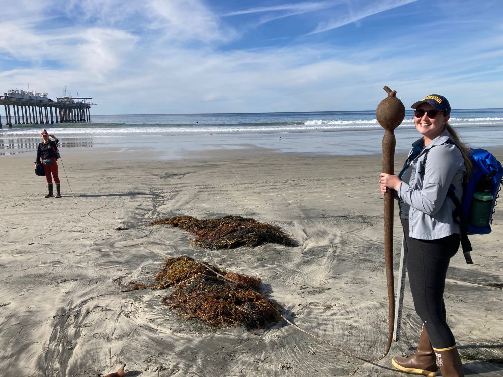 Robin holds the pneumatocyst, while Hannah, standing ~30 feet away, holds the kelp’s holdfast.