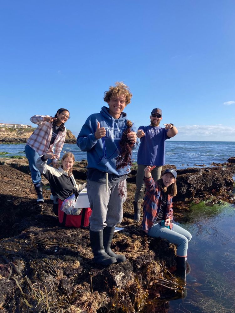 A group of marine ecologists on a rocky shore. The one in the front is smiling and holding a tangled mass of seaweed in one hand while giving a thumbs-up with the other hand. Other lab members are pointing and smiling. 