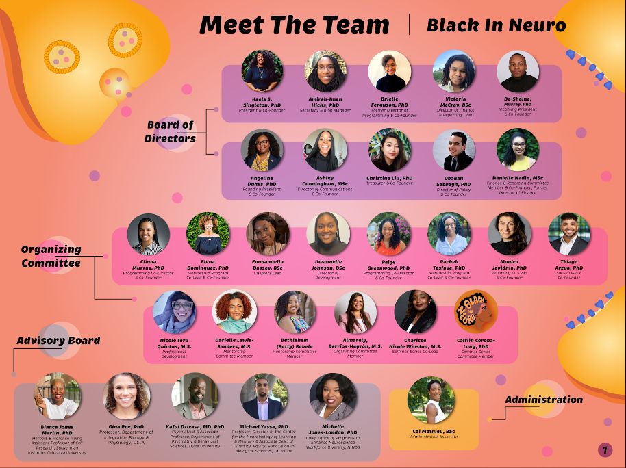 This page of the annual report is titled "Meet The Team | Black In Neuro" presents a structured layout of team members categorized into different roles, featuring profile photos and names. The background is a pink and orange gradient with neuron-inspired graphics. The team is divided into four sections with each section color-coded with connecting lines linking members, emphasizing their roles within the organization.
Board of Directors: Kaela S. Singleton, PhD, Amirah-Iman Hicks, PhD, Brielle Ferguson, PhD, Victoria McCray, BSc, De-Shaine Murray, PhD, Angeline Dukes, PhD, Ashley Cunningham, MSc, Christine Liu, PhD, Ubadah Sabbagh, PhD, Danielle Nadin, MSc. Organizing Committee included individuals responsible for programming, mentorship, chapters, and development: Cliona Murray, PhD, Elena Dominguez, PhD, Emmanuella Bassey, BSc, Jheannelle Johnson, BSc, Paige Greenwood, PhD, Rachele Tsegay, PhD, Monica Javidnia, PhD, Thiago Arzua, PhD, Nicole Teru Quintinilas, M.S., Darielle Lewis-Sanders, M.S.,Bethlehem (Betty) Belete, Almarely Berrios-Greenwoood, M.S., Charisse Nicole Winston, M.S., and Caitlin Corona-Long, PhD 
Advisory Board – Features senior professionals and academics supporting the initiative: Bianca Jones Marlin, PhD, Gina Poe, PhD, Kafui Dzirasa, MD, PhD, Michael Yassa, PhD, and Michelle Jones-London, PhD. Finally Administration – Highlights the administrative associate managing operations: Cai Mathieu, BSc.
