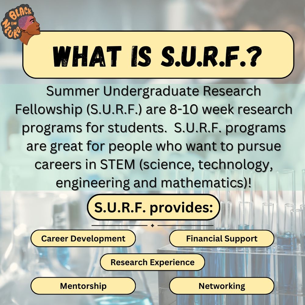 Black text on a yellow rectangle reads “ What is SURF?” Black text on lab experimental backgrounds reads, “Summer Undergraduate Research Fellowship (SURF) are 8-10 week research programs for students. SURF programs are great for people who want to pursue careers in STEM (science, technology, engineering, and mathematics)! Black text on smaller individual yellow rectangles also read “ SURF provides: Career Development, Financial Support, Research Experience, Mentorship, and Networking”. Black In Neuro logo in top left.