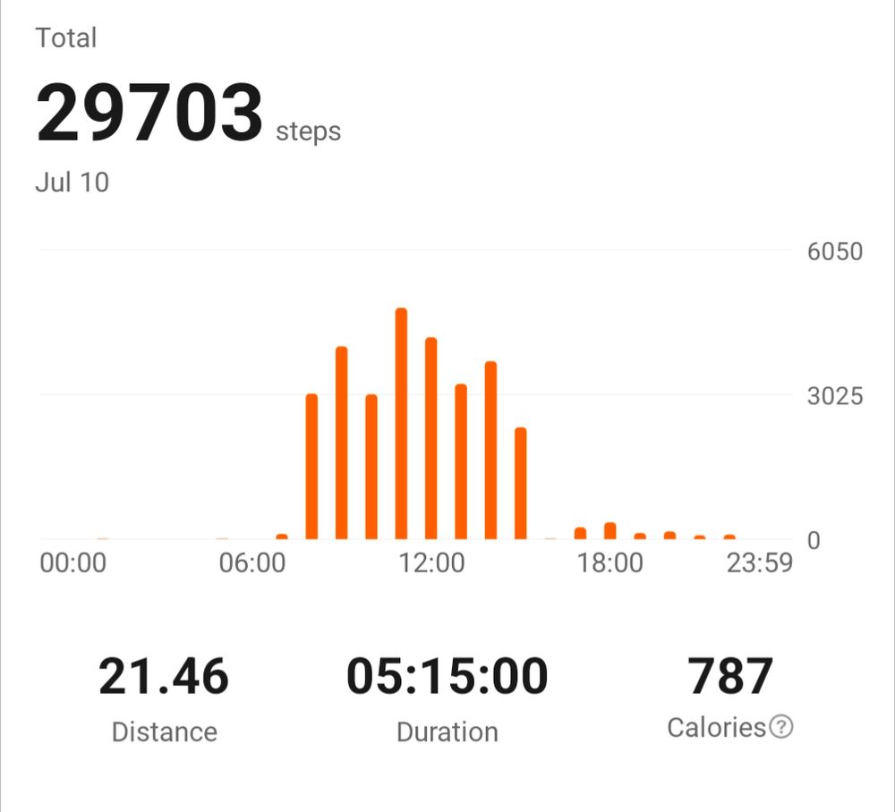 Phone screen showing walk of 29703 steps or 21.46km
