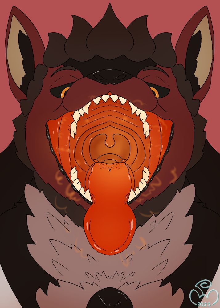 Nova mawshot