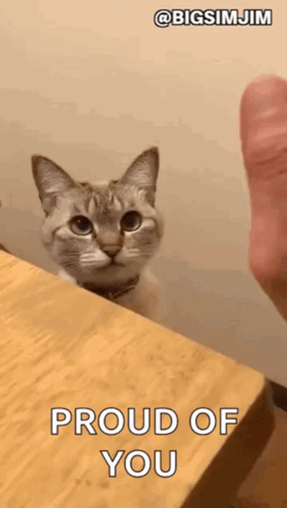 a cat is peeking over a wooden table .