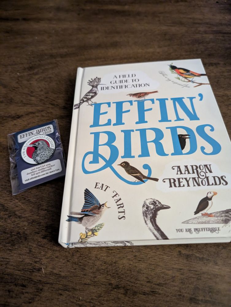 The Effin' Birds Book. Alongside an Effin' Birds 'I am a goddamned delight pin.