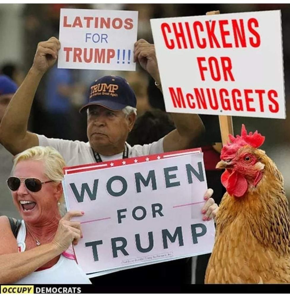 Man with sign LATINOS FOR TRUMP, woman with sign WOMEN FOR TRUMP, and rooster with sign CHICKENS FOR MCNUGGETS