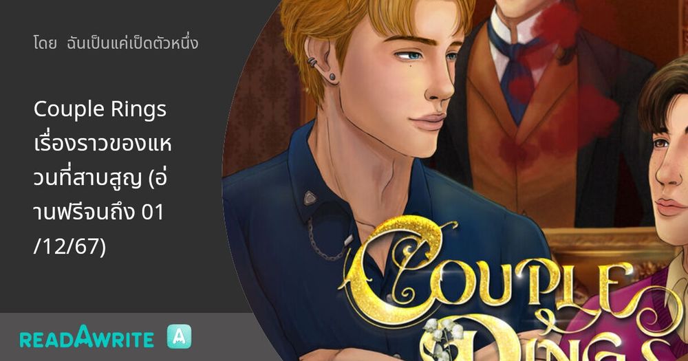 Couple Rings เรื่องราวของแหวนที่สาบสูญ (อ่านฟรีจนถึง 01/12/67): นิยาย Boy Love Party Room