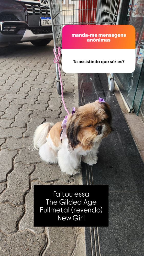 caixinha: tá assistindo que séries? na imagem um cachorro pequeno, de laço rosa, amarrado em um carrinho de super mercado. resposta: faltou essa
The Gilded Age
Fullmetal (revendo)
New Girl